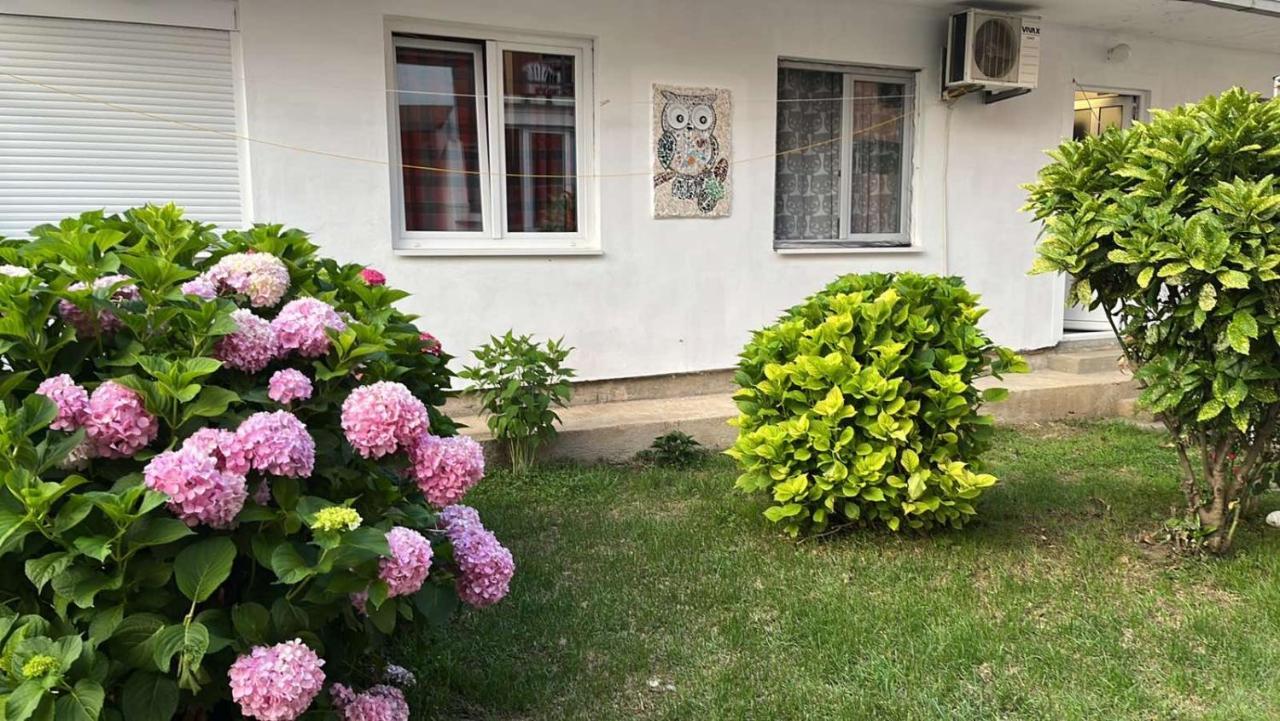 Apartment Aleksandra Bar Buitenkant foto